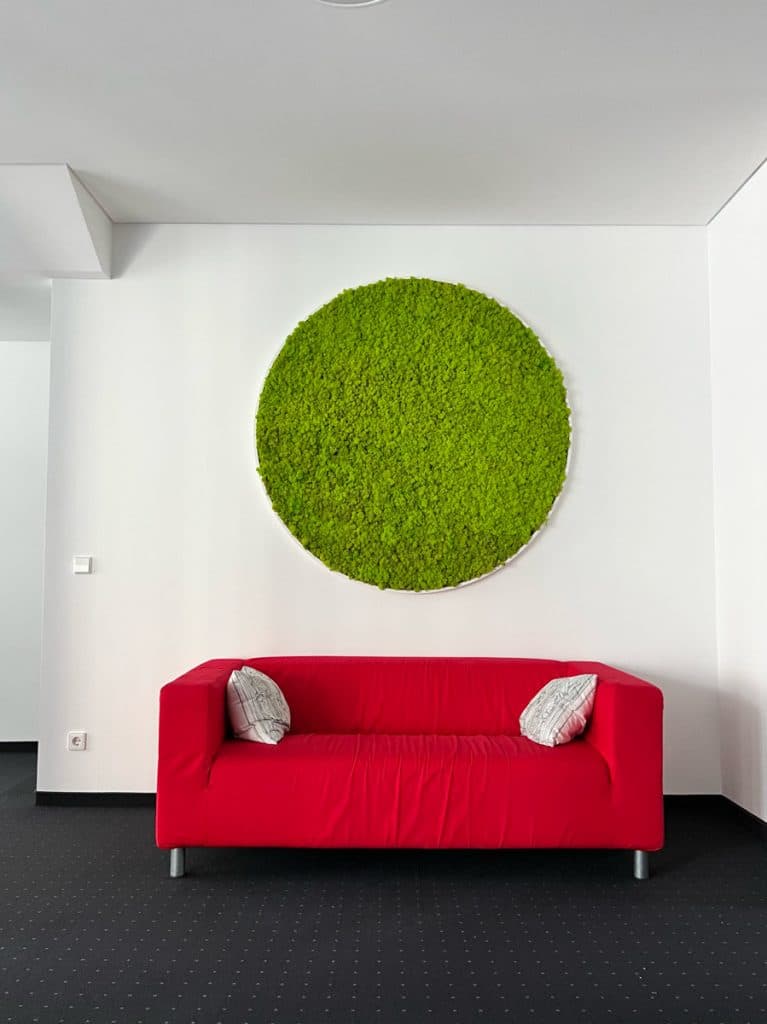 Hier sehen Sie das Beispiel der Raumgestaltung mit einem runden Moosbild in frischem Grün über einem Rota Sofa vor einer weißen Wand